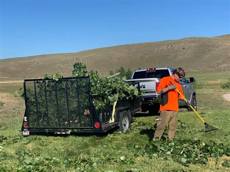 Majestic tree care meridian  We are a highly skilled and trained team servicing Meridian, Idaho, and the surrounding areas